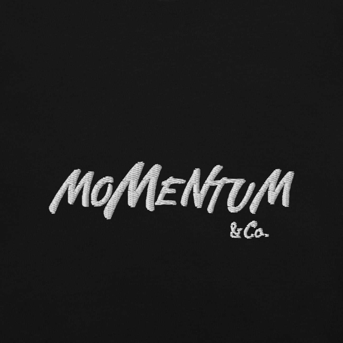 Momentum &Co. Embroidered Garment-dyed heavyweight t-shirt