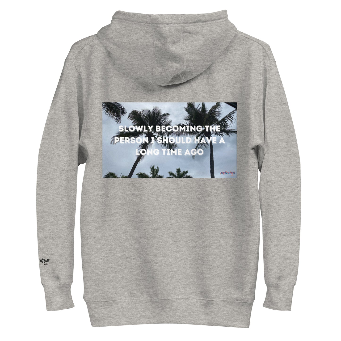 Momentum &Co. Graphic Hoodie